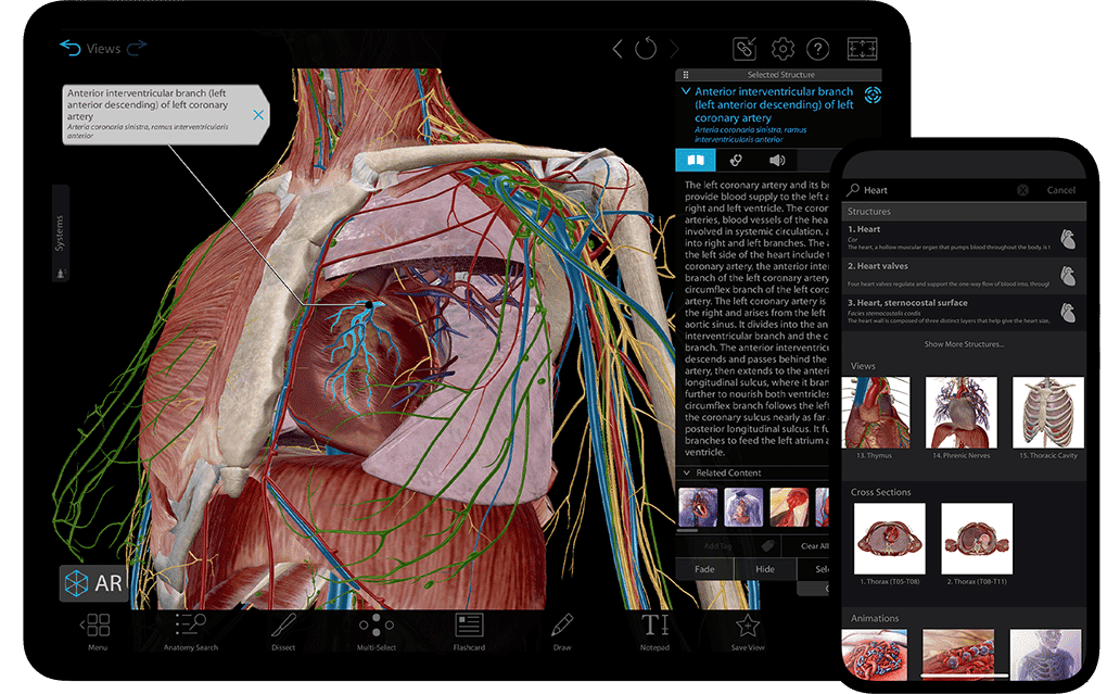 01 Professional Education 2
