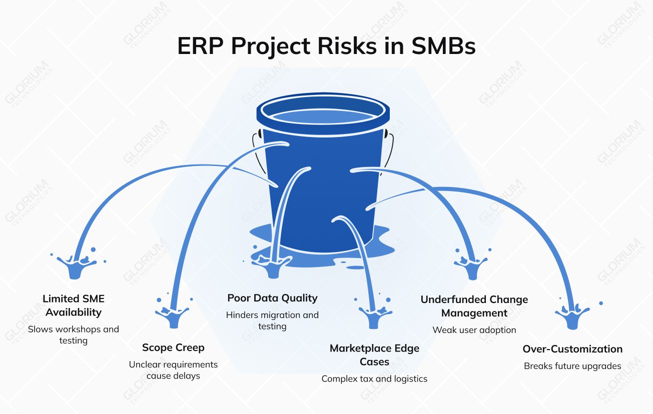 ERP Project Risks in SMBs