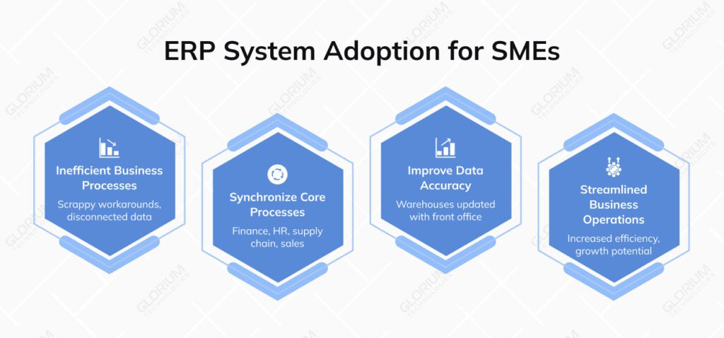 9 Signs Your Business Is Ready for an ERP System | Gloriumtech