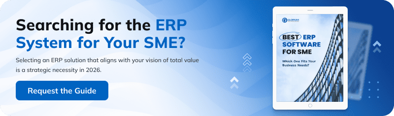 Searching for the ERP System for Your SME