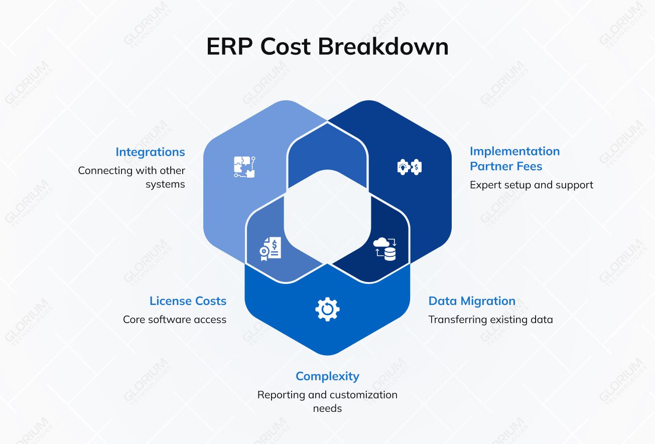 ERP Cost Breakdown
