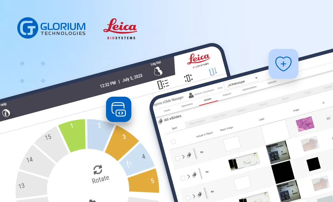 Case study preview